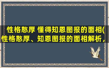 性格憨厚 懂得知恩图报的面相(性格憨厚、知恩图报的面相解析，了解你的性格与命运走向)